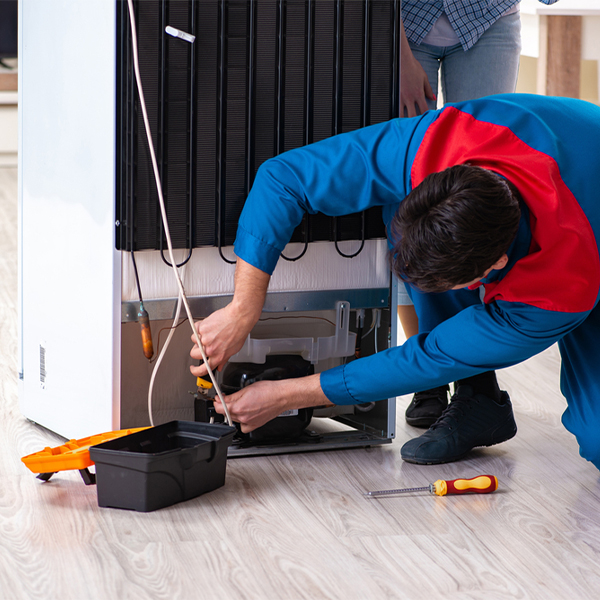 what are the common refrigerator repair services in Sidney